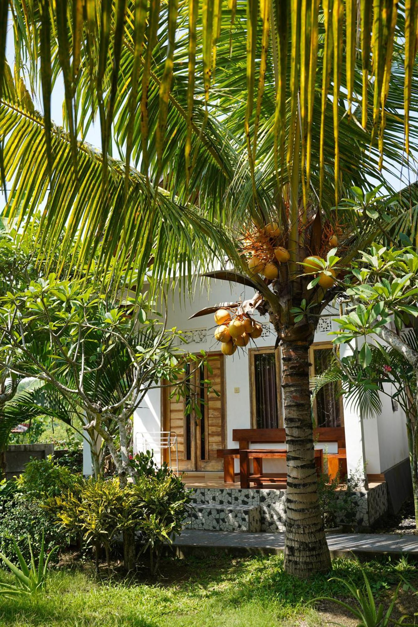 Wahyu Masari Homestay Sakti Экстерьер фото